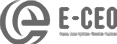 E-CEO